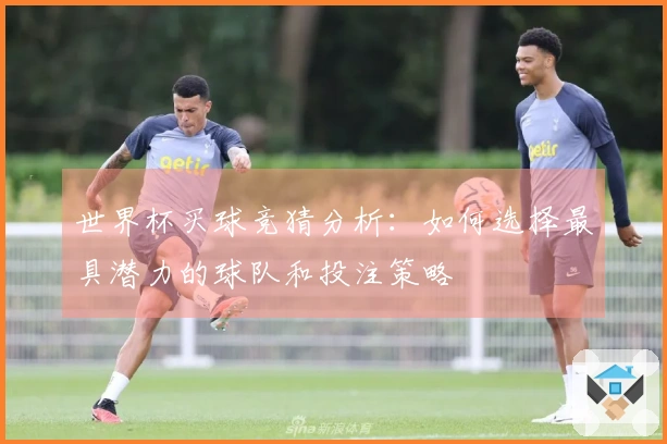 世界杯买球竞猜分析：如何选择最具潜力的球队和投注策略