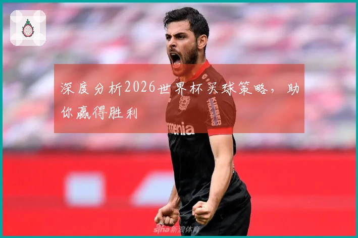 深度分析2026世界杯买球策略，助你赢得胜利