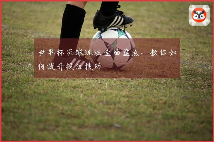世界杯买球玩法全面盘点，教你如何提升投注技巧