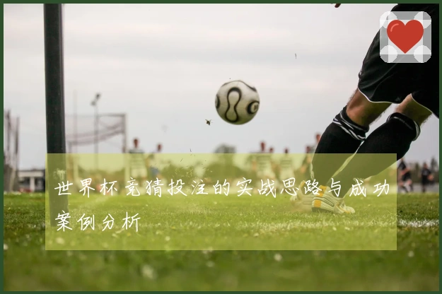 世界杯竞猜投注的实战思路与成功案例分析