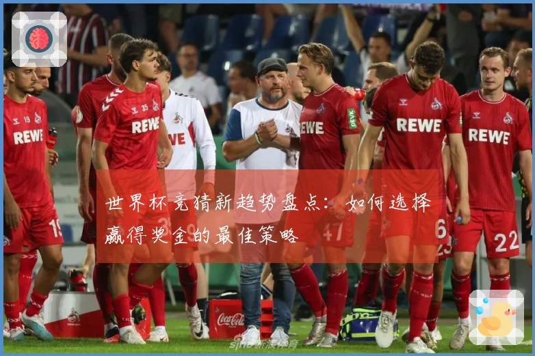 世界杯竞猜新趋势盘点：如何选择赢得奖金的最佳策略