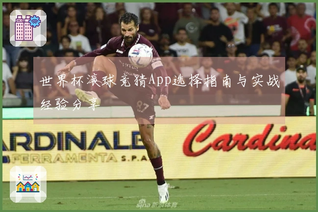 世界杯滚球竞猜App选择指南与实战经验分享