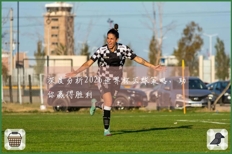 深度分析2026世界杯买球策略，助你赢得胜利