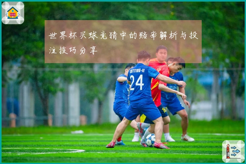 世界杯买球竞猜中的赔率解析与投注技巧分享